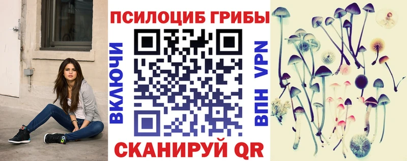 где можно купить наркотик  мега как войти  Псилоцибиновые грибы Magic Shrooms  Боготол 